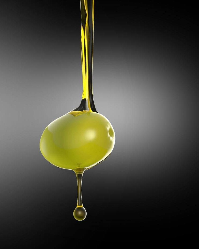 Pakistani Wild Olive