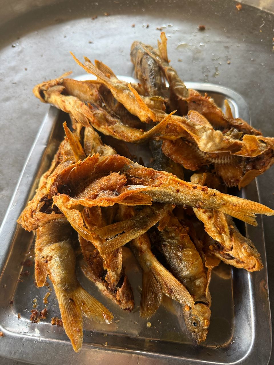 watany/swaty fish