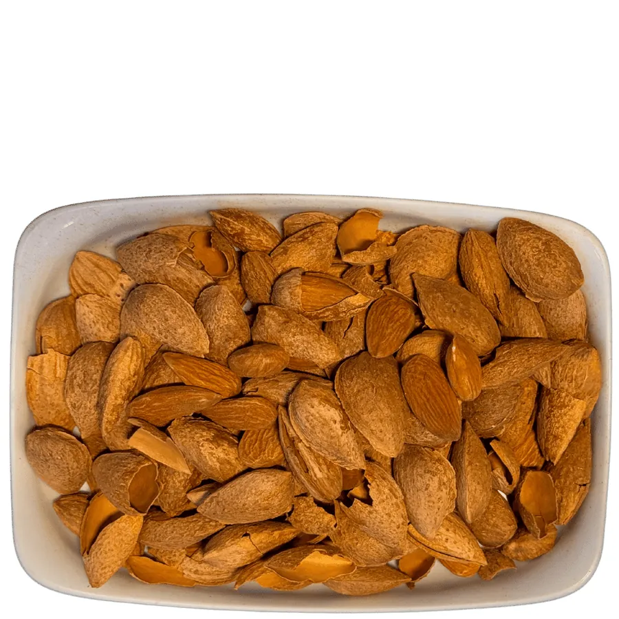 Badam Kaghzi American No.1 (بادام کاغذی امریکن نمبر 1)