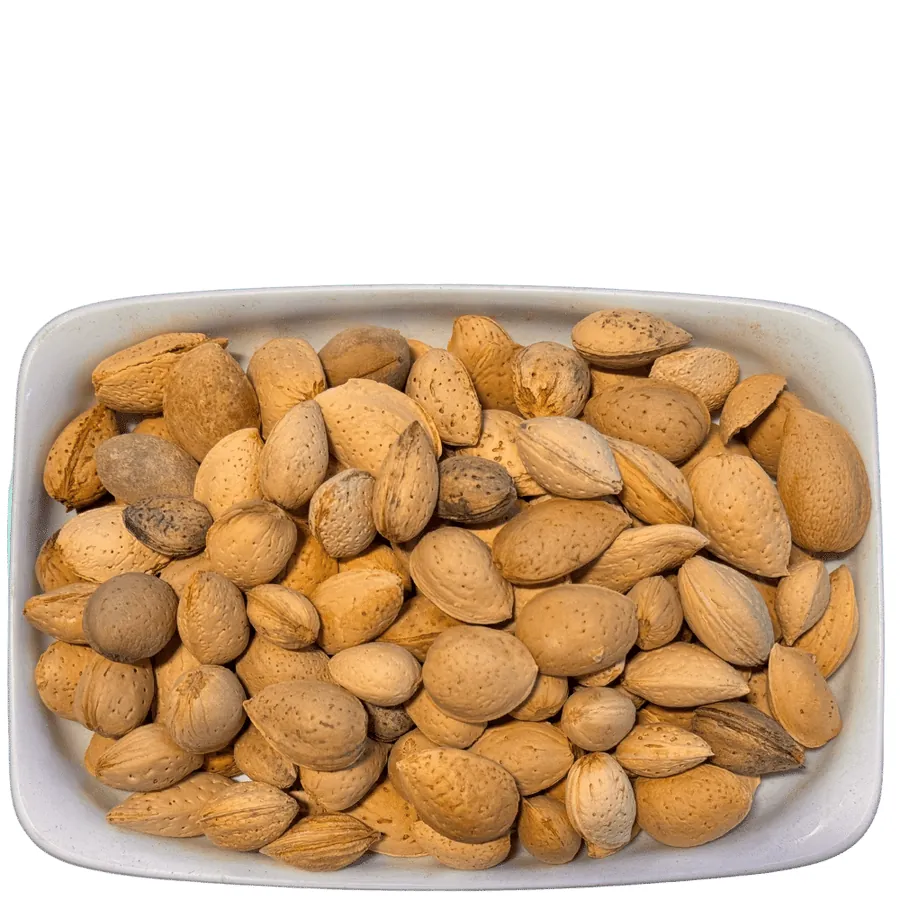 Badam AFG (بادام)
