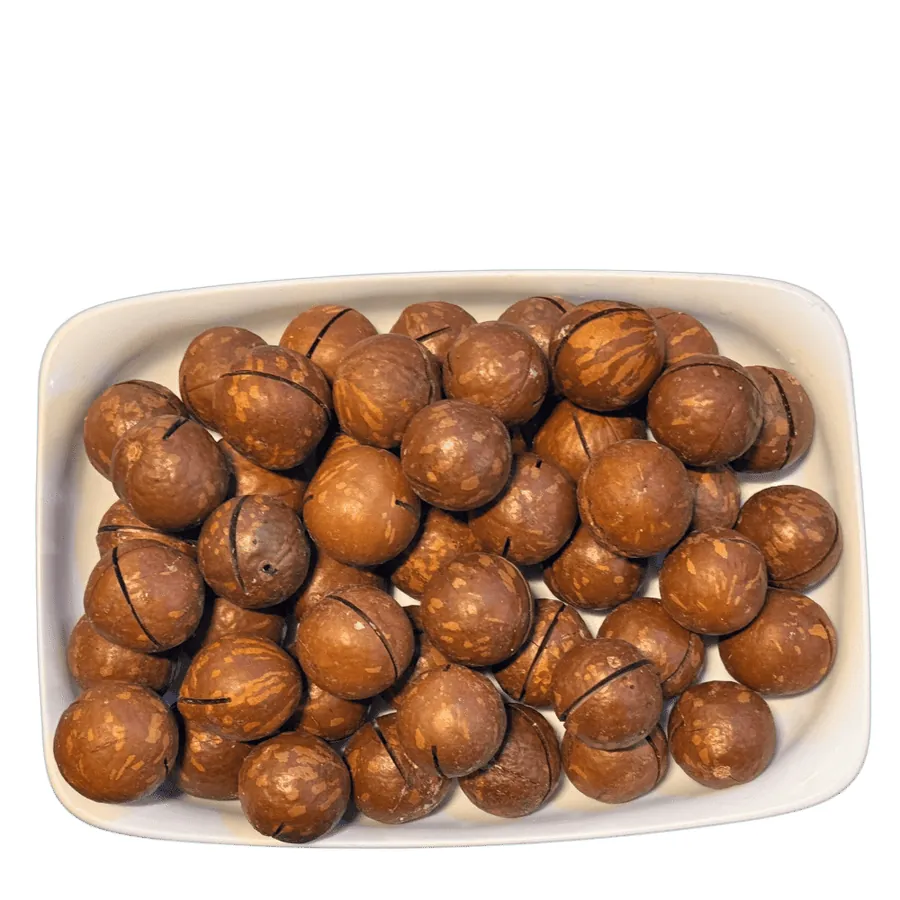 Macadamia Walnuts (چابی والی اخروٹ)