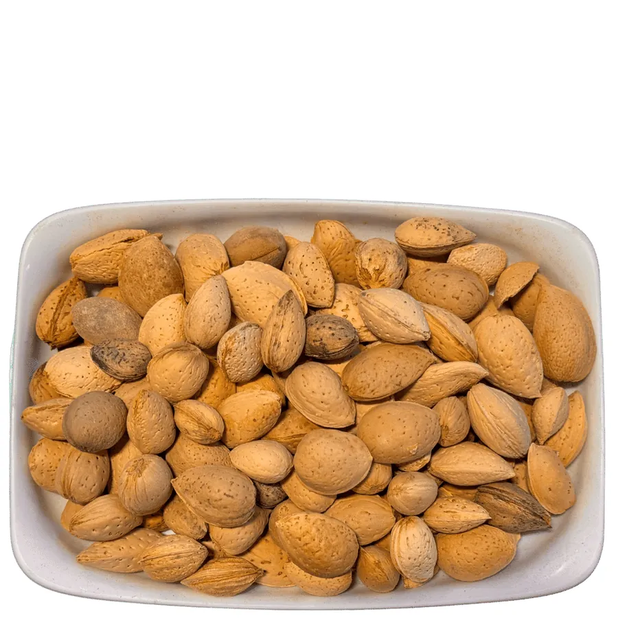 Badam Hard Shell (بادام سخت چھلکا)