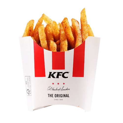 Masala Fries - Large